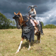 Illustration for article titled Awesome iSkyrim /iCosplay Even Includes Horse Armor